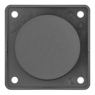 Berker Bouchon aveugle anthracite avec plaque de fixation 945162505