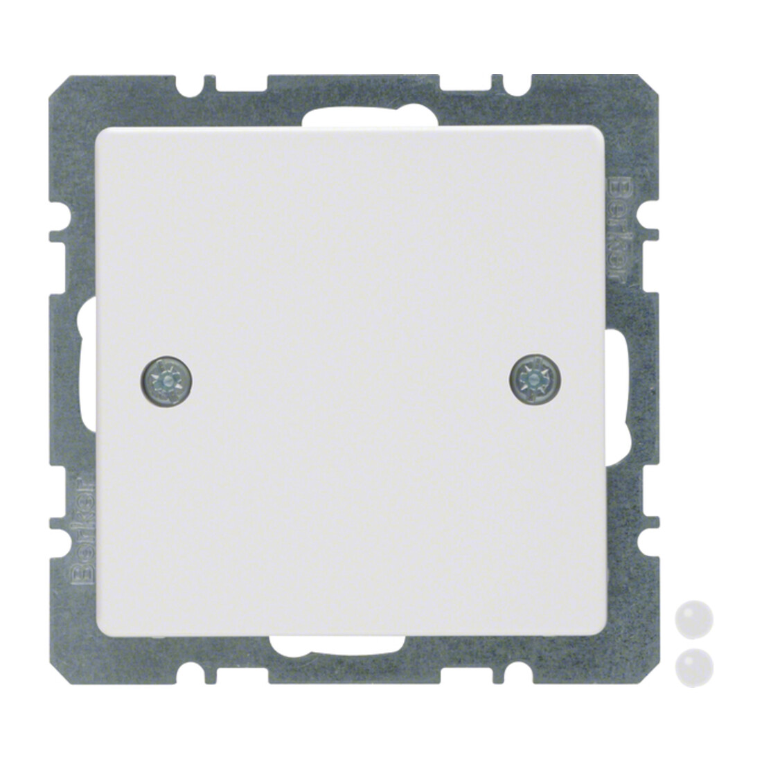 Berker Bouchon aveugle avec pièce centrale 10096079
