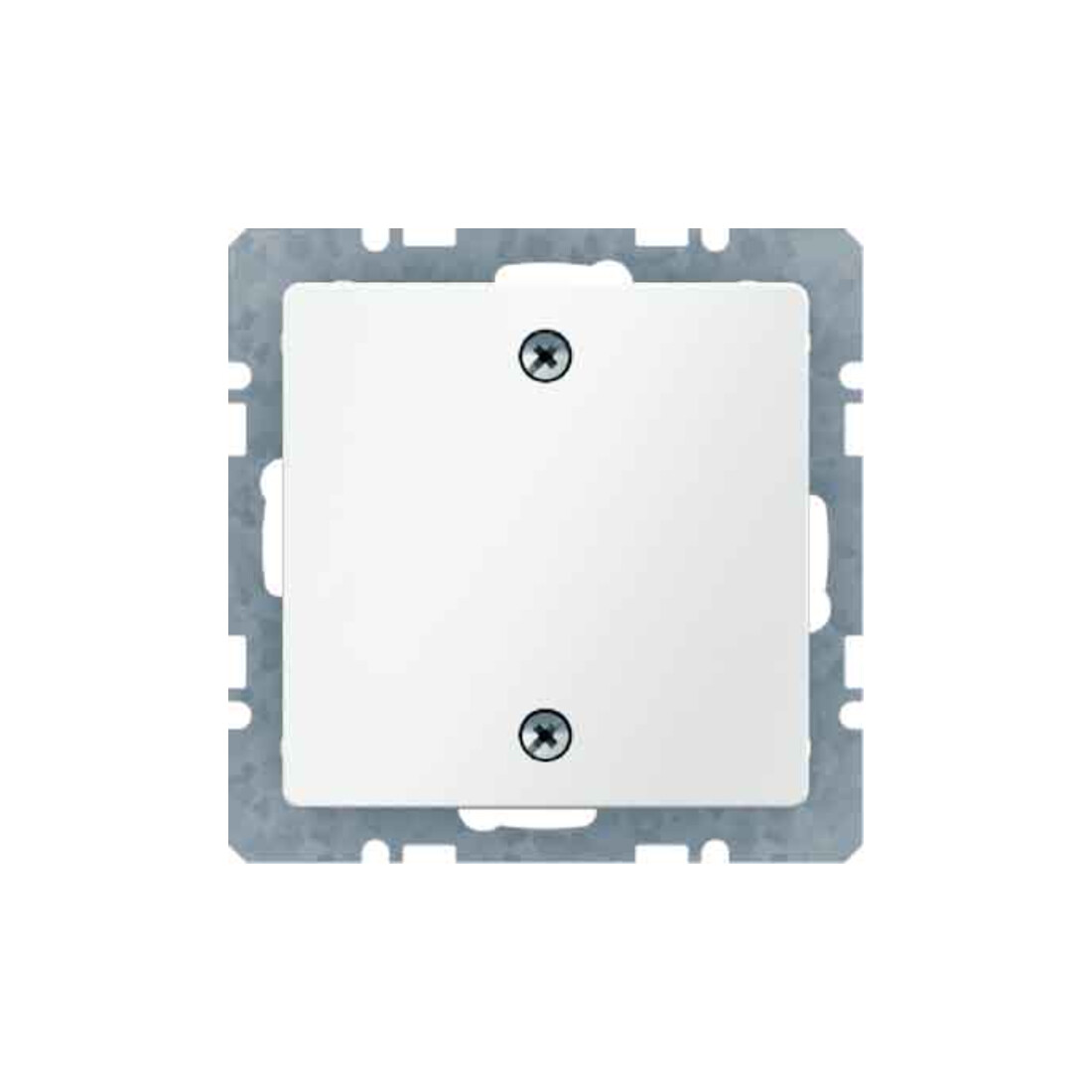 Berker Bouchon aveugle avec pièce centrale 10096079