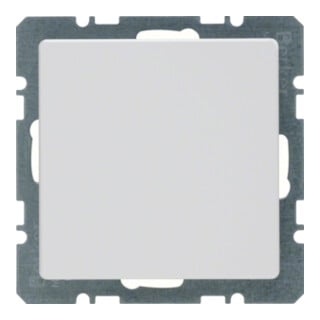 Berker Bouchon aveugle avec pièce centrale 10096089