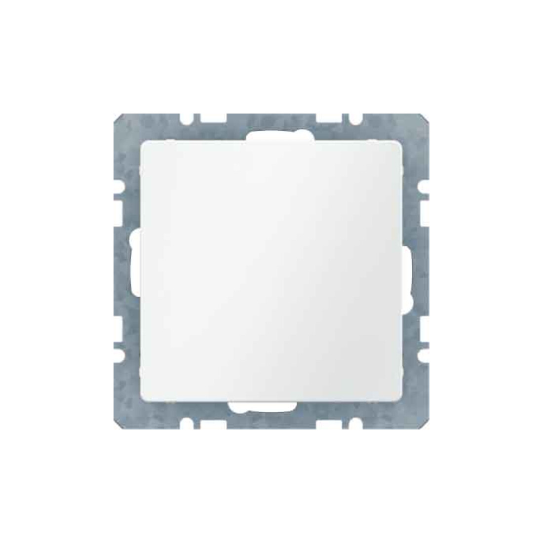 Berker Bouchon aveugle avec pièce centrale 10096089