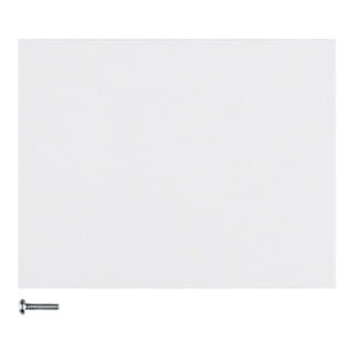 Berker Bouton 1 touche blanc polaire brillant 85141179