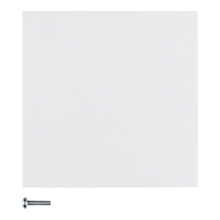Berker Bouton 1 touche blanc polaire brillant 85141189