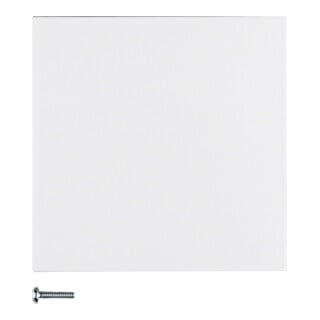 Berker Bouton 1 touche blanc polaire mat 85141188