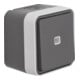 Berker Bouton inverseur gris clair 50763505