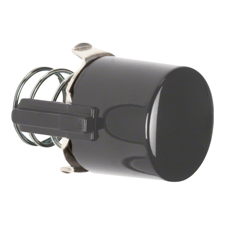 Berker Bouton-poussoir br 122501
