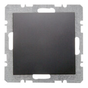 Berker Cache aveugle anthracite mat avec pièce centrale 6710091606-1