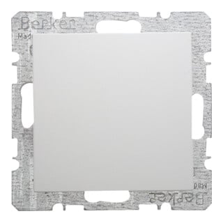 Berker Cache-prise pws/gl avec pièce centrale 6710098989
