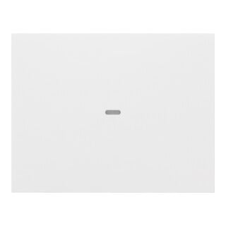 Berker Cache-touche 1f. pws 80960279