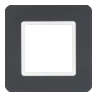 Berker Cadre 1f. anthracite/satiné 10116186