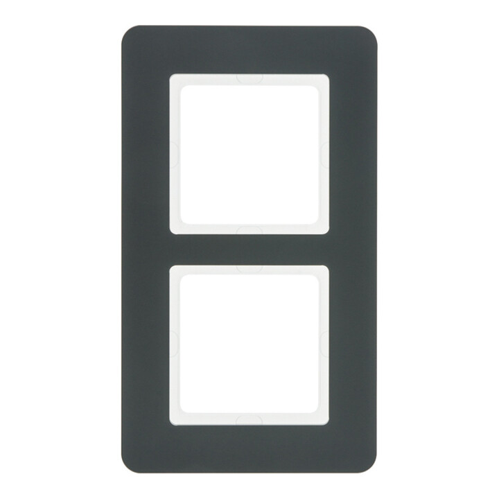 Berker Cadre 2f. anthracite/satiné 10126186