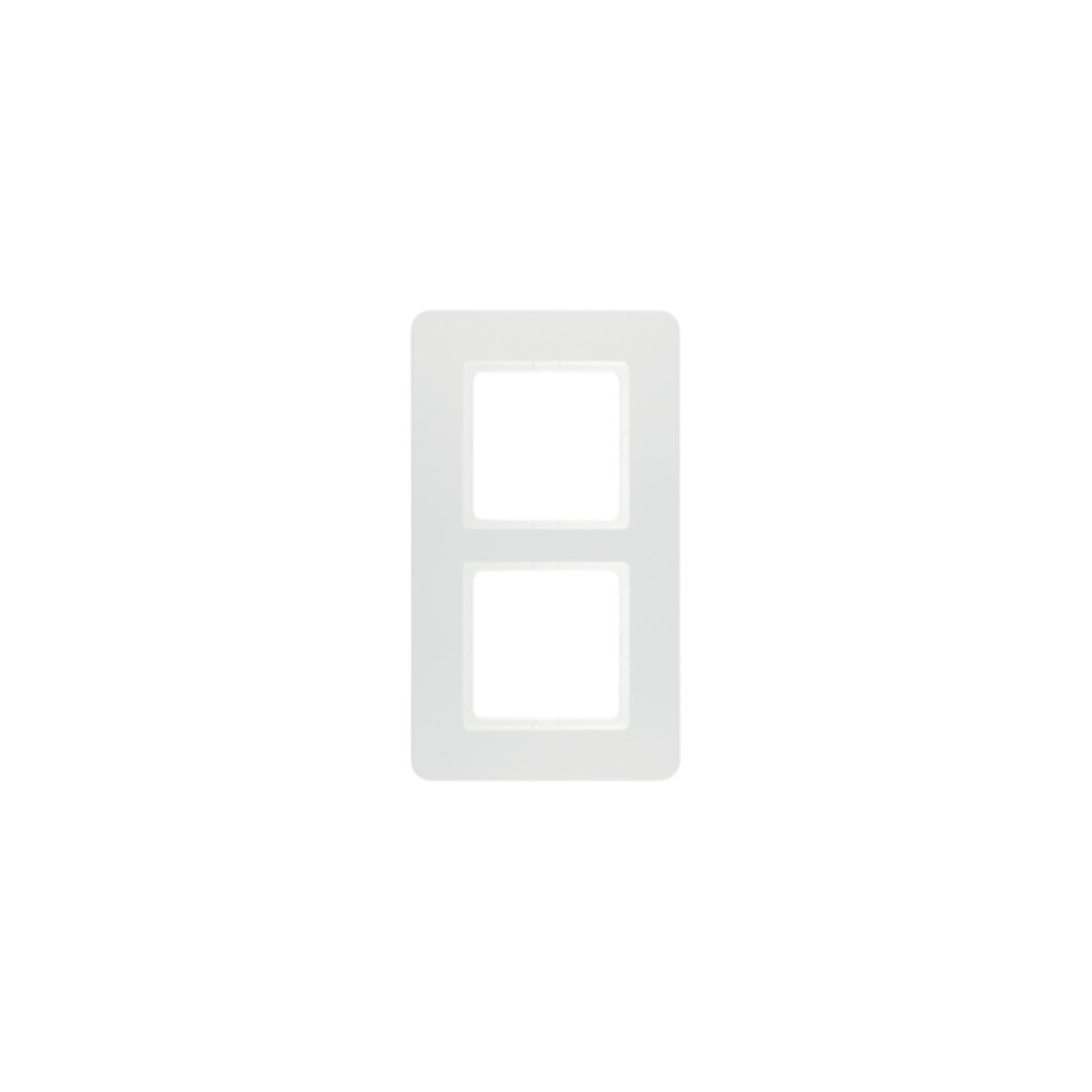Berker Cadre 2f. avec pws/samt 10126189