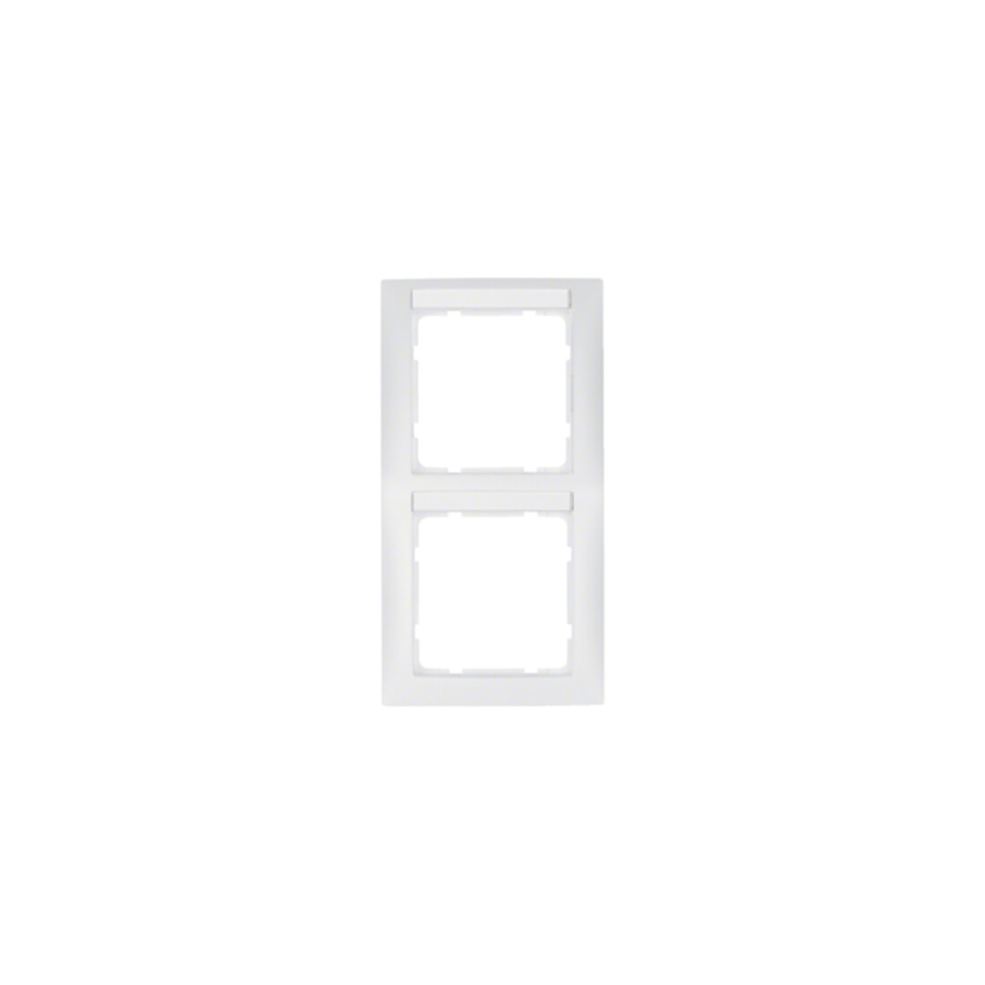 Berker Cadre 2f.pws vertical 10129919