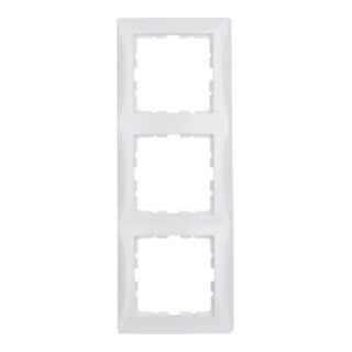 Berker Cadre 3f. pws/gl vertical/horizontal 10138989