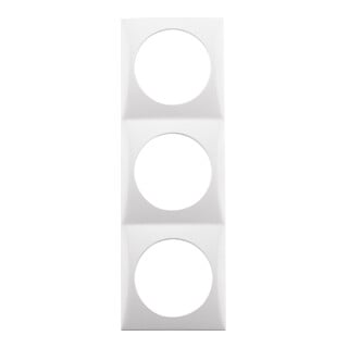 Berker Cadre 3f.pws/gl vertical/horizontal 918192519