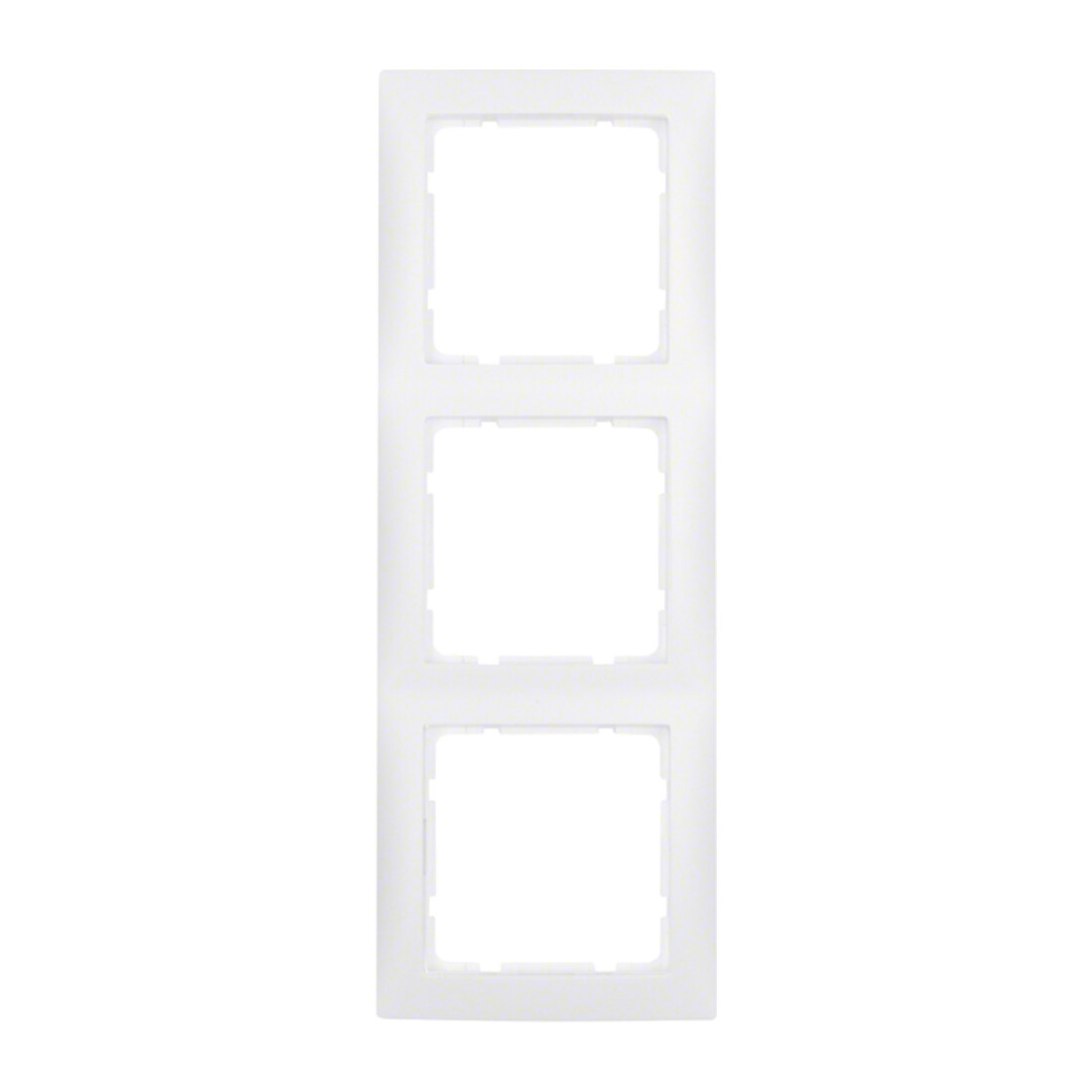 Berker Cadre 3f.pws mat vertical/horizontal 10139909