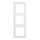 Berker Cadre 3f.pws mat vertical/horizontal 10139909