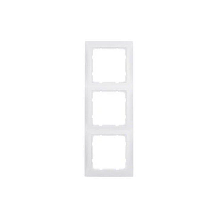 Berker Cadre 3f.pws mat vertical/horizontal 10139909
