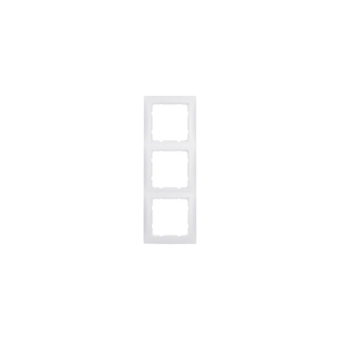 Berker Cadre 3f.pws mat vertical/horizontal 10139909