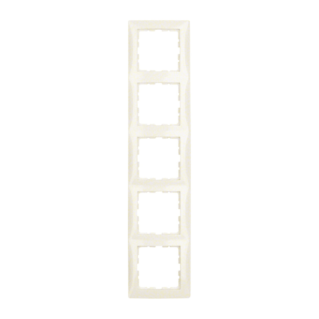 Berker Cadre 5f. blanc brillant 10158982