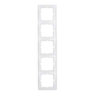 Berker Cadre 5f. pws/gl 10158989