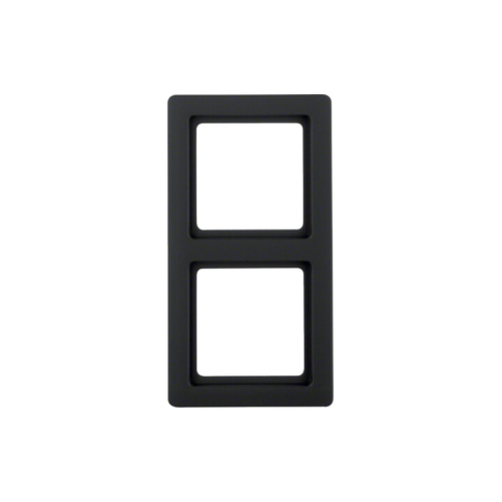 Berker Cadre anthracite/satiné 2 fois 10126086