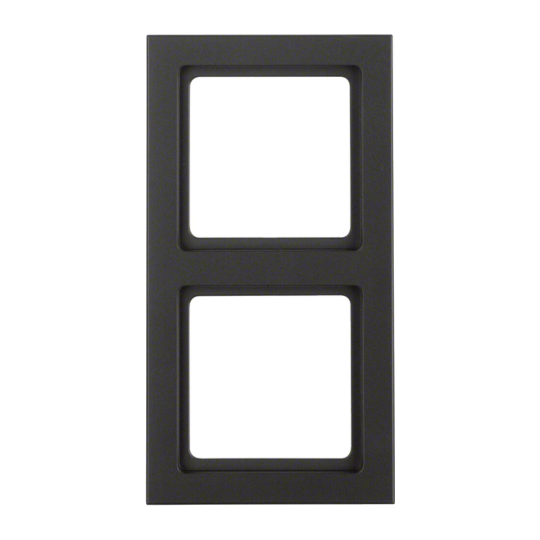 Berker Cadre anthracite/satiné 2 fois 10126096