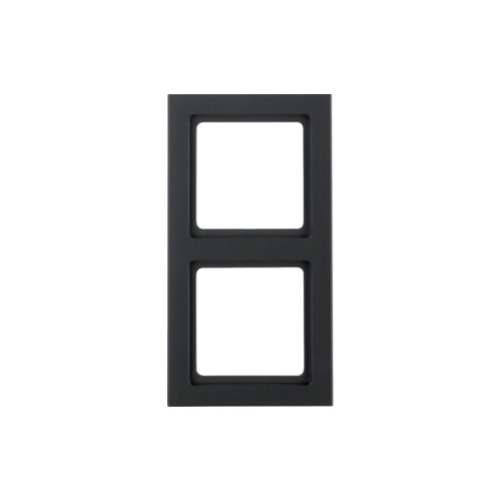 Berker Cadre anthracite/satiné 2 fois 10126096