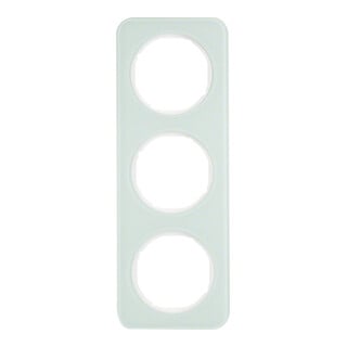 Berker Cadre verre/poussoir triple 10132109