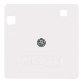 Berker Élément central pws/gl pour disjoncteur FI 149609