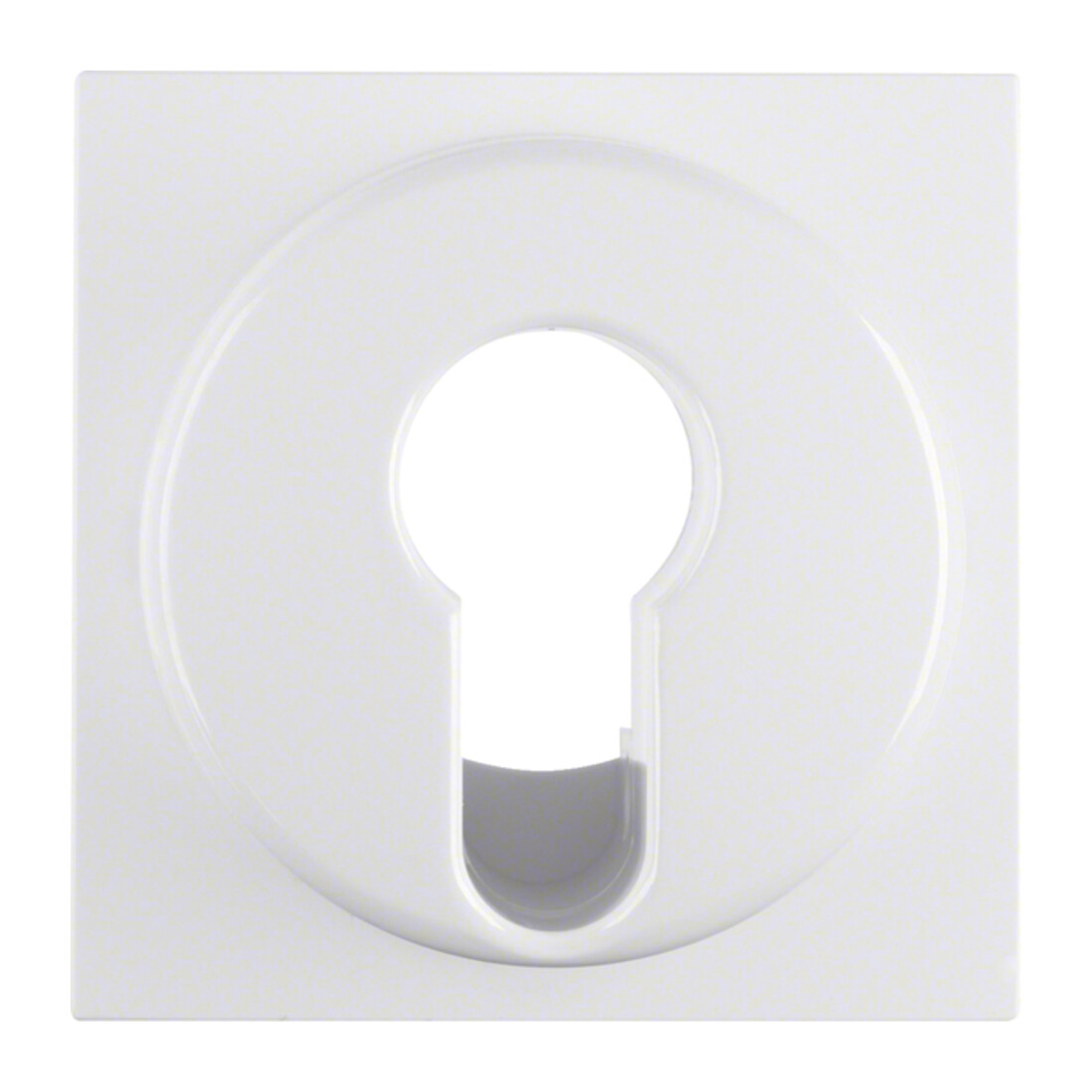 Berker Élément central pws/gl pour interrupteur à clé 15078989