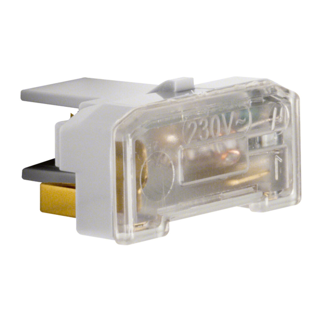 Berker Générateur d’étincelles avec borne N 1675