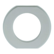 Berker Glasmittelrahmen klar 109300-1