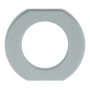 Berker Glasmittelrahmen klar 109300-3