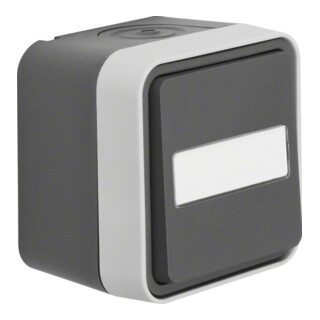 Berker Interrupteur va-et-vient lumineux gris clair 30763555