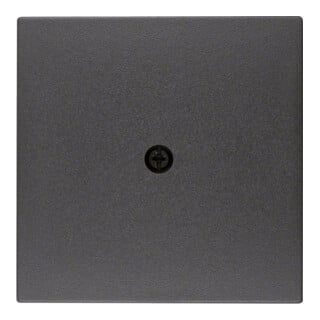 Berker Pièce centrale anthracite 10191606