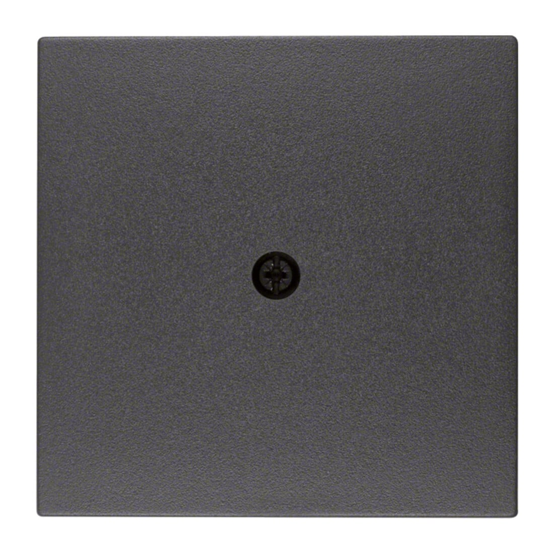 Berker Pièce centrale anthracite 10191606