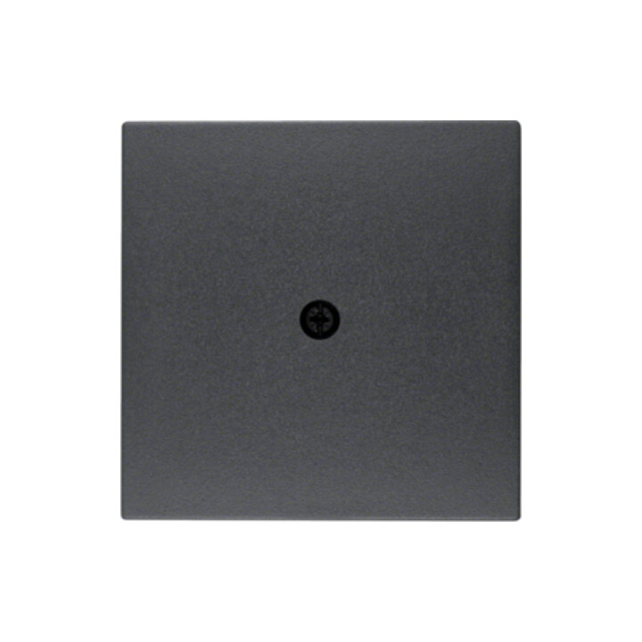 Berker Pièce centrale anthracite 10191606