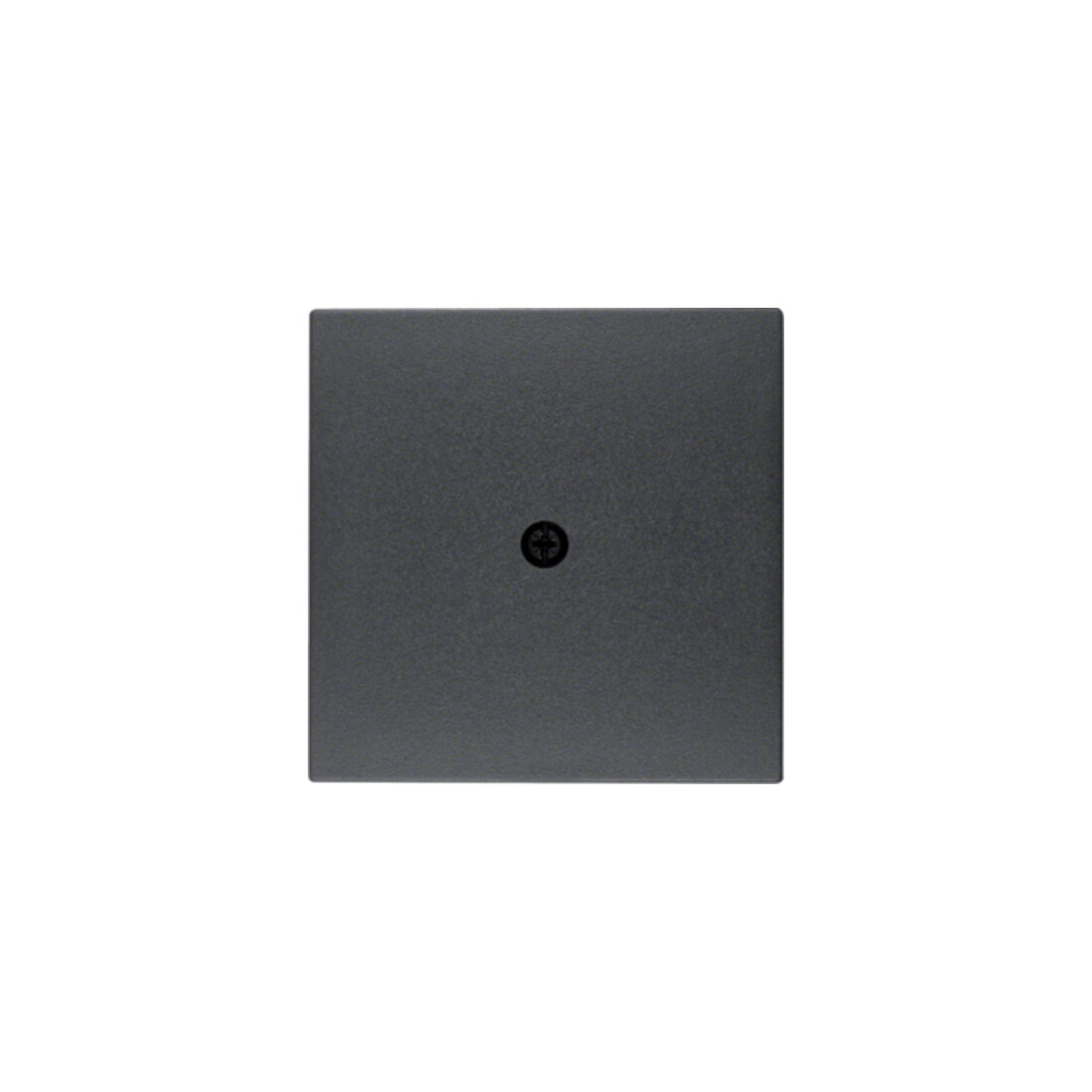 Berker Pièce centrale anthracite 10191606