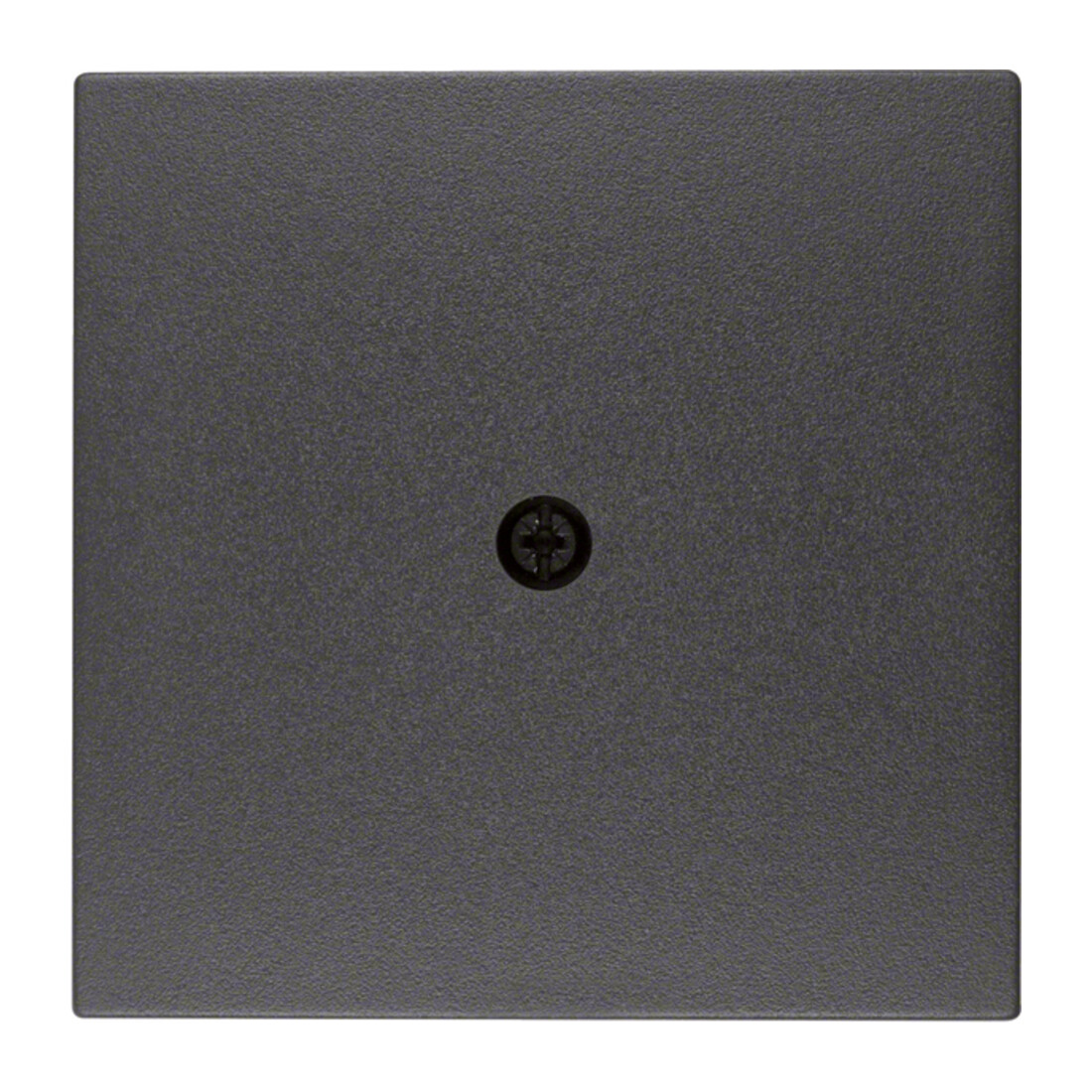 Berker Pièce centrale anthracite 10191606