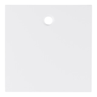 Berker Pièce centrale pws/gl pour commande par traction/poussoir 11468989