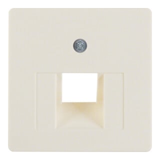 Berker Plaque centrale blanche pour prise de connexion UAE 146802