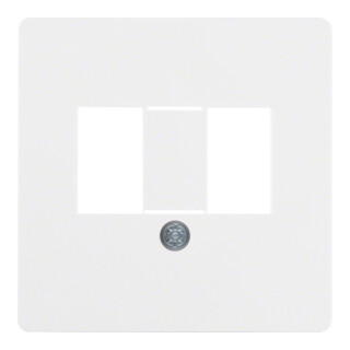 Berker Plaque centrale pour prise TAE 145809