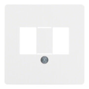 Berker Plaque centrale pour prise TAE 145809-1