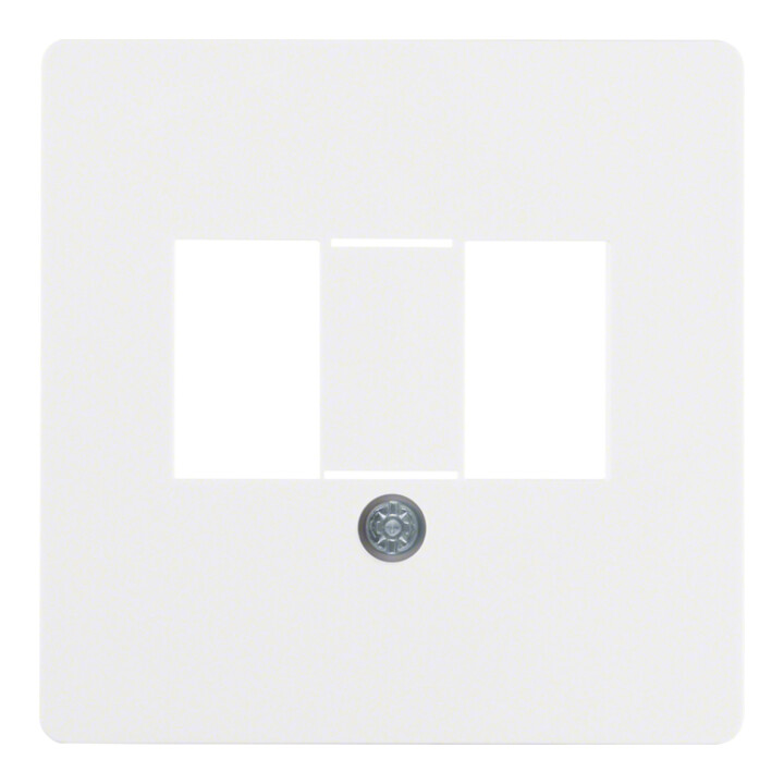 Berker Plaque centrale pour prise TAE 145809