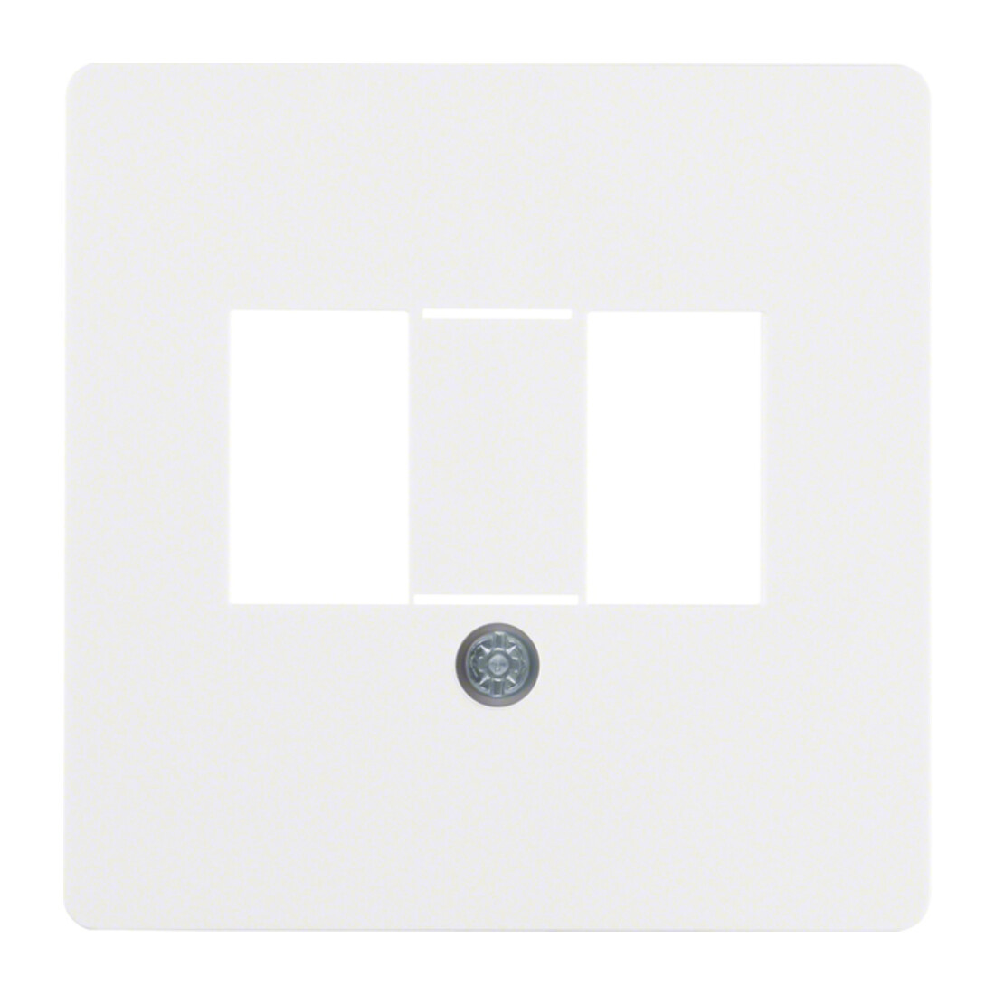 Berker Plaque centrale pour prise TAE 145809