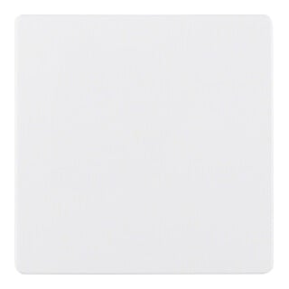Berker Plaque centrale pws pour insert capteur 75940409