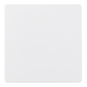 Berker Plaque centrale pws pour insert capteur 75940409-1