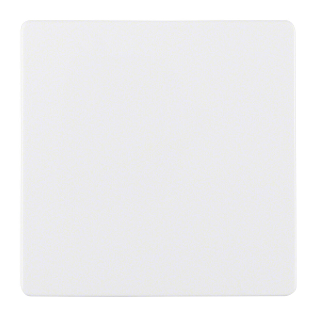 Berker Plaque centrale pws pour insert capteur 75940409