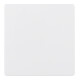 Berker Plaque centrale pws pour insert capteur 75940409